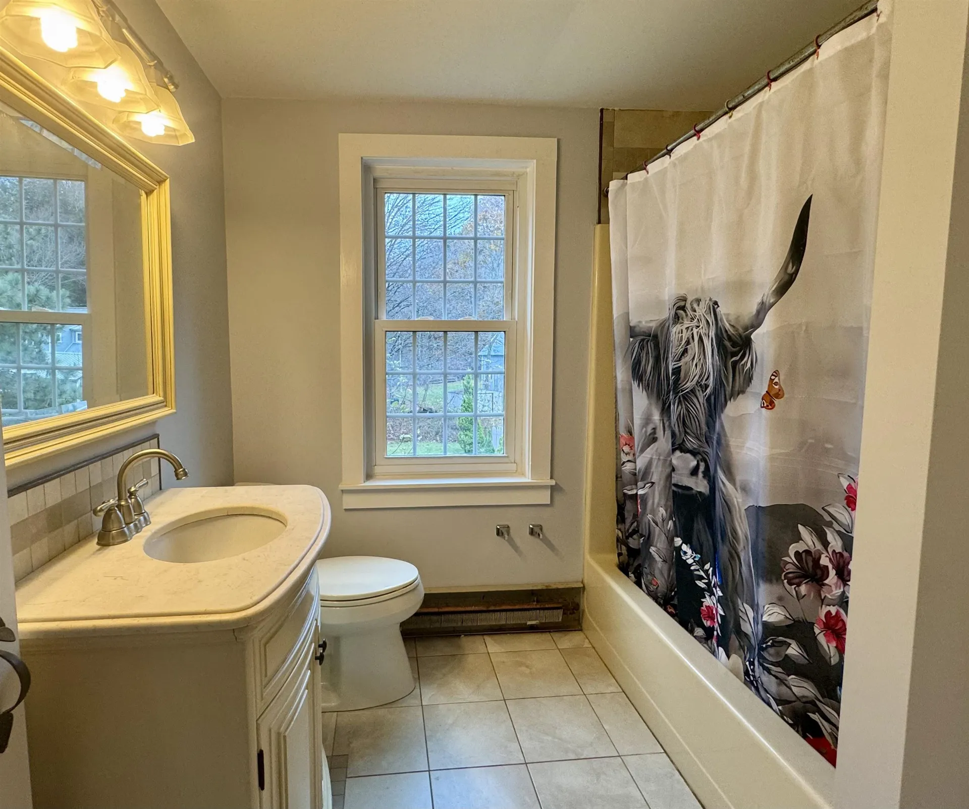 143 Spoonerville Road Springfield VT 05150