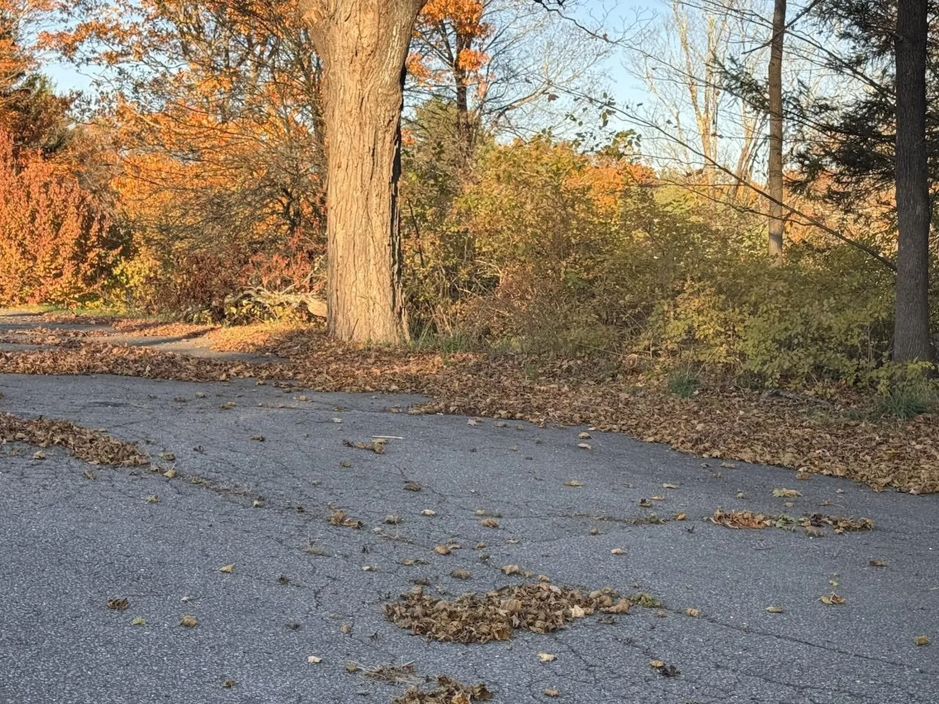 821 Route 9 Chesterfield NH 03466