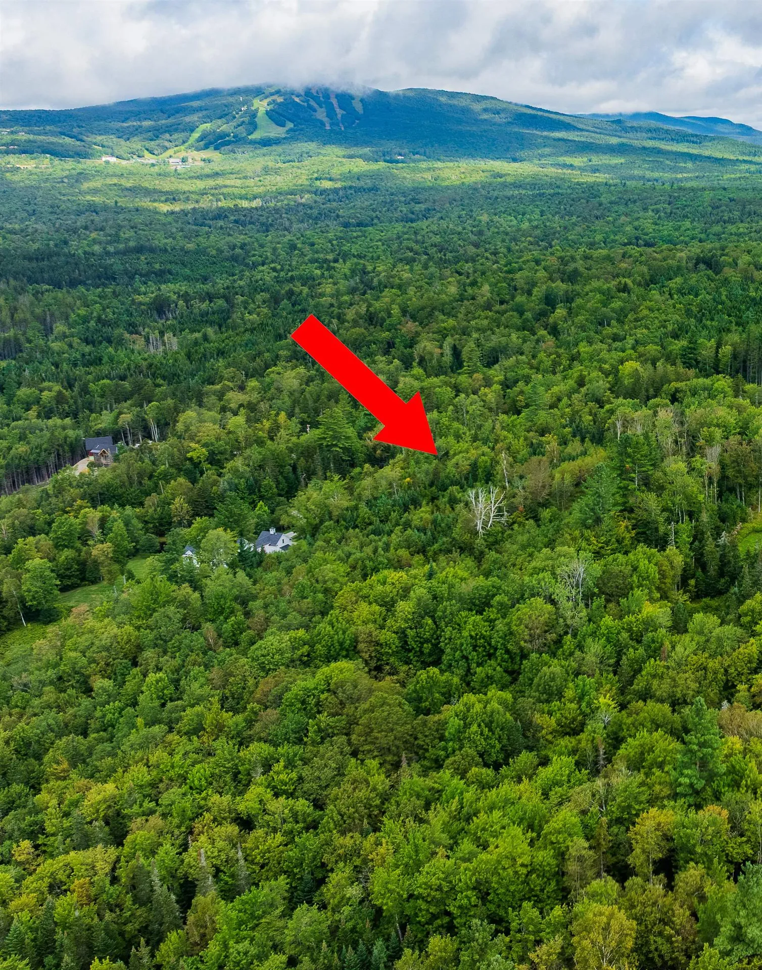 248 French Hollow Road Winhall VT 05340