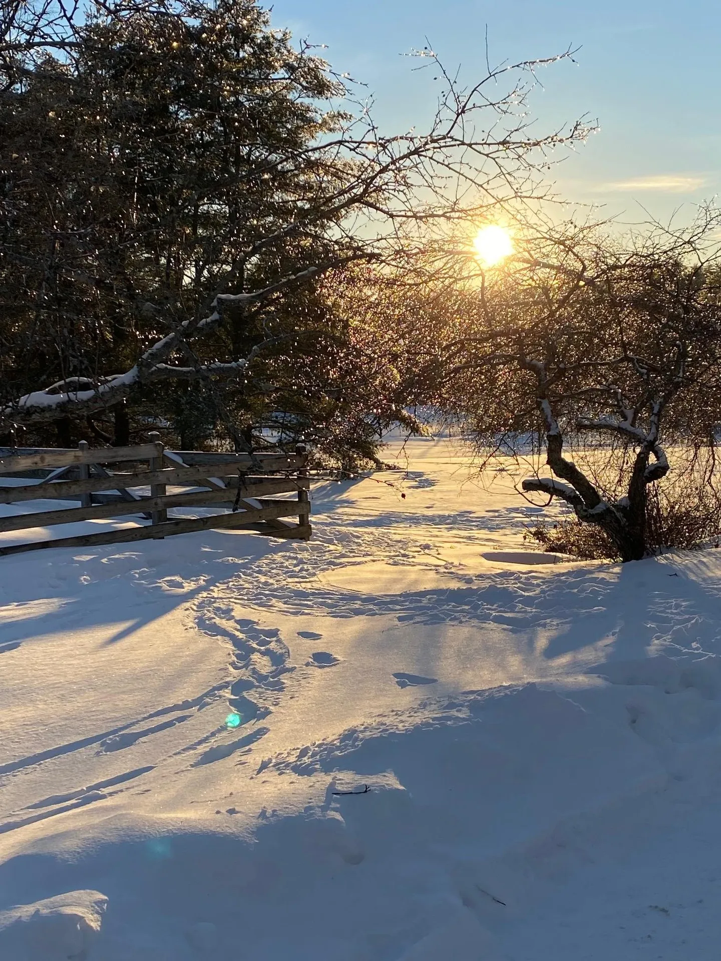 254 Boynton Road Londonderry VT 05148