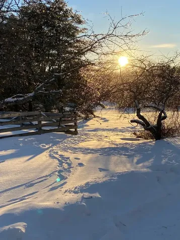 254 Boynton Road Londonderry VT 05148