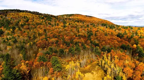 000 Willard Pond Road Hancock NH 03449