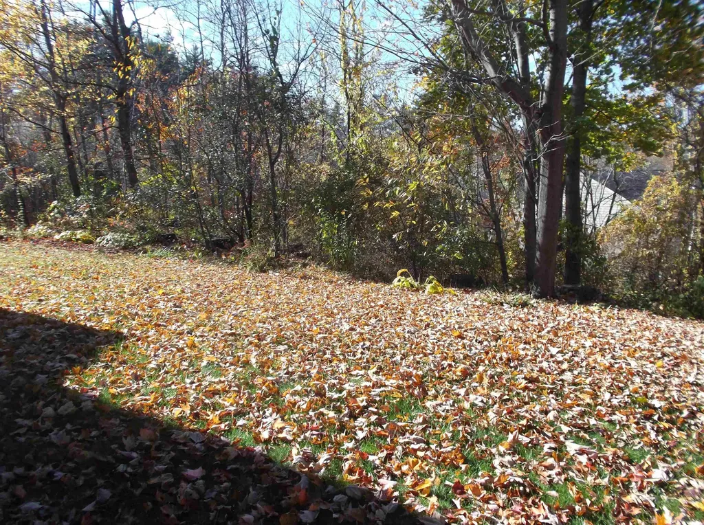 23 Bayberry Lane South Burlington VT 05403