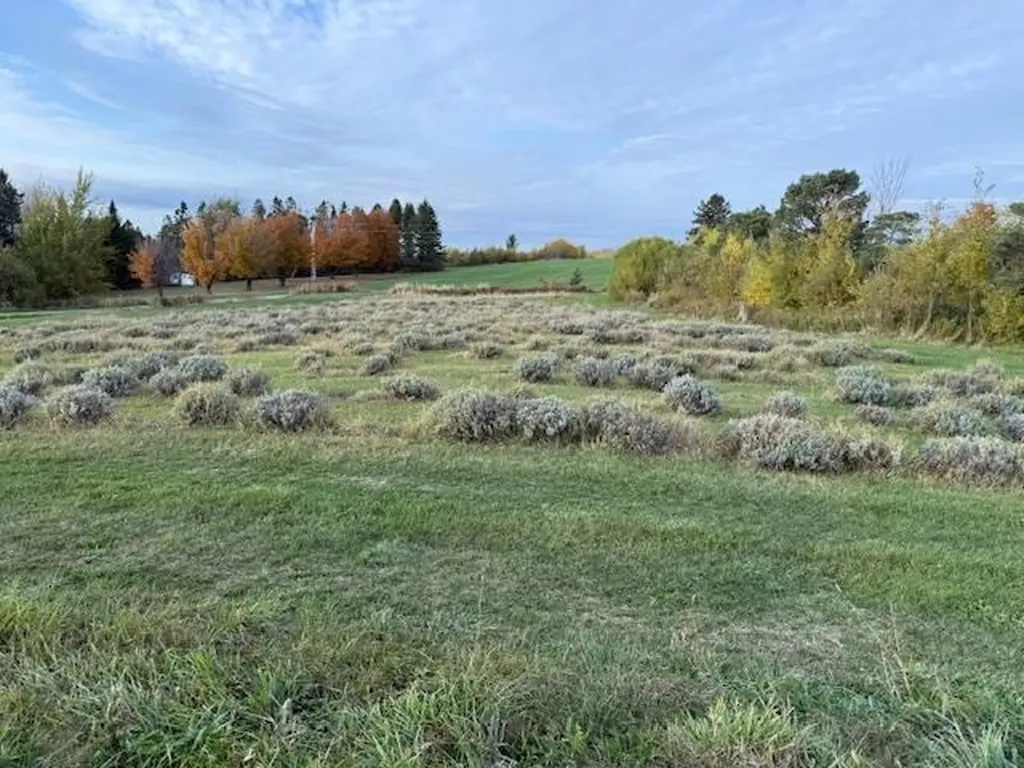 2103 Herrick Road Derby VT 05829