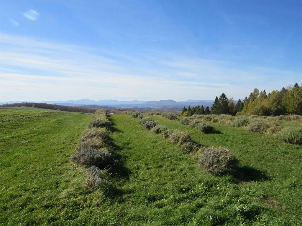 2103 Herrick Road Derby VT 05829