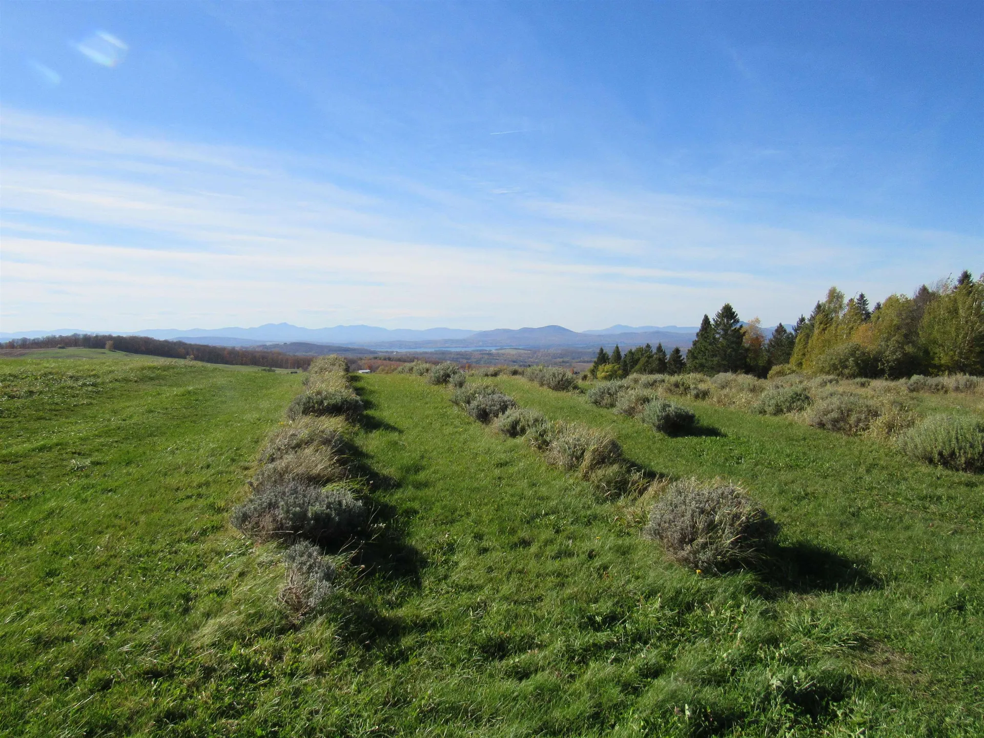 2103 Herrick Road Derby VT 05829