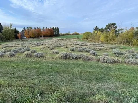 2103 Herrick Road Derby VT 05829