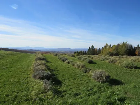 2103 Herrick Road Derby VT 05829