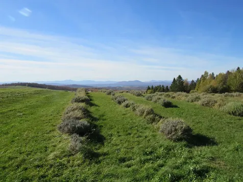 2103 Herrick Road Derby VT 05829