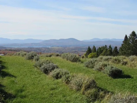 2103 Herrick Road Derby VT 05829