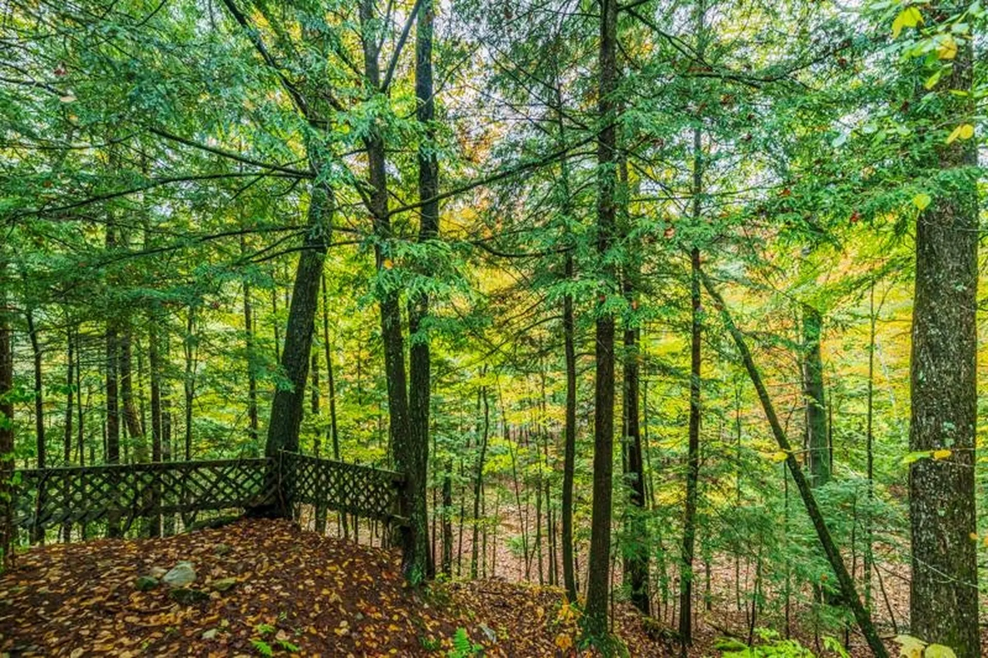 653 Roaring Branch Road Arlington VT 05250