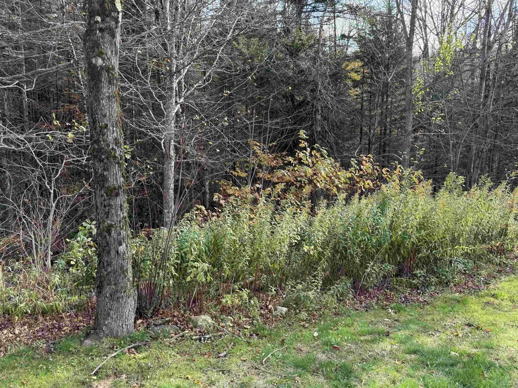 6852 Us Route 4 Mendon VT 05701