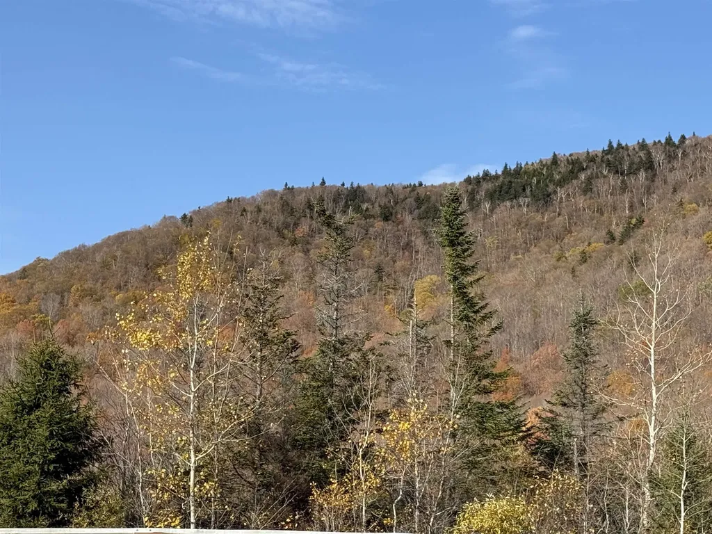 6852 Us Route 4 Mendon VT 05701