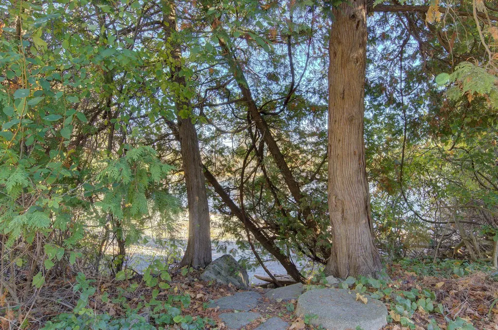 417 West Shore Road South Hero VT 05486