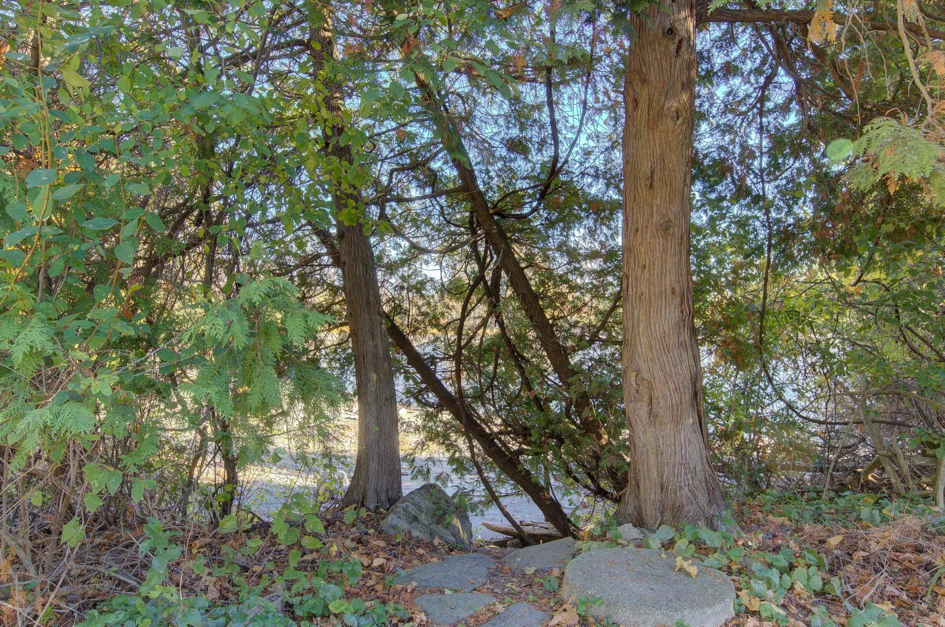 417 West Shore Road South Hero VT 05486