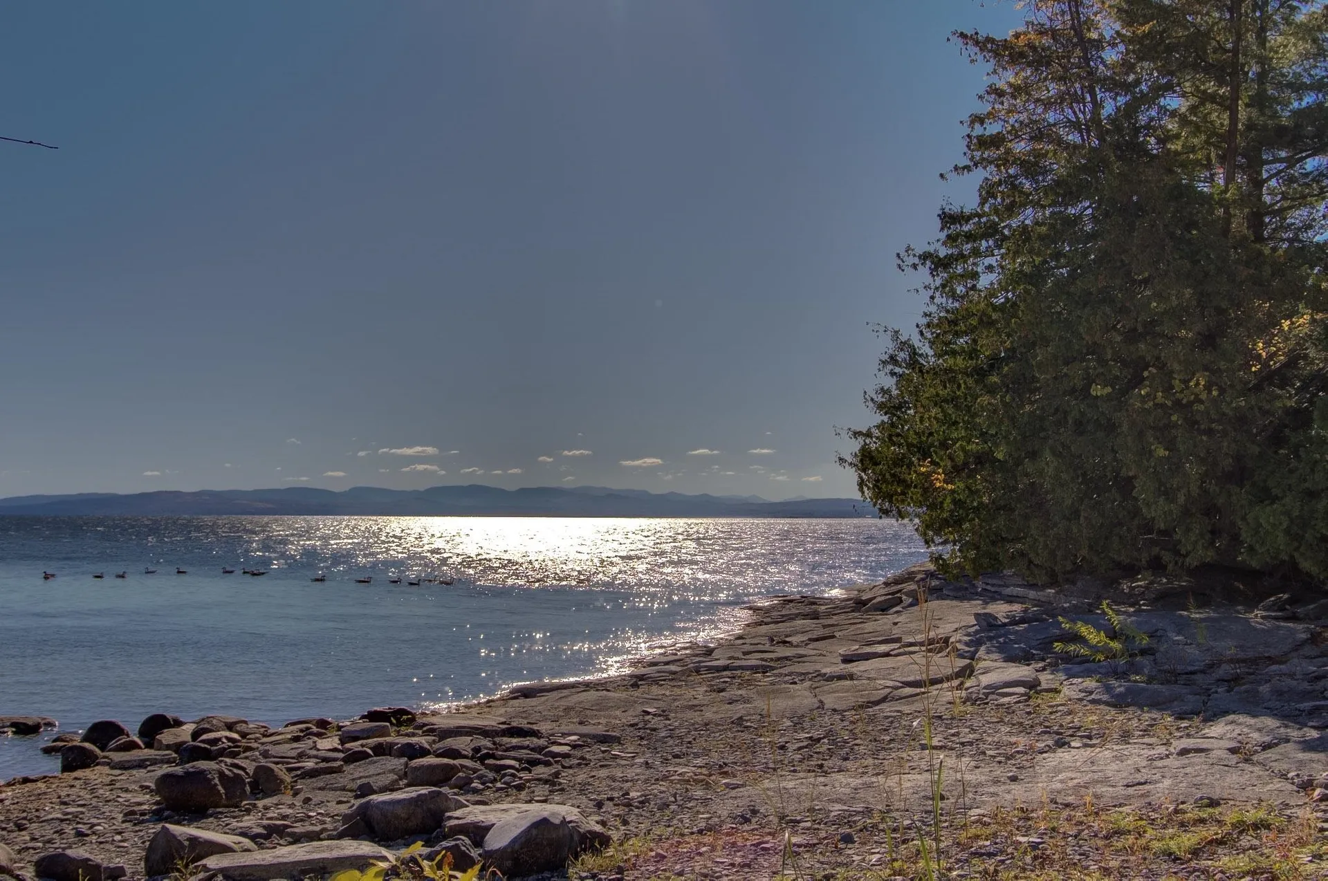 417 West Shore Road South Hero VT 05486