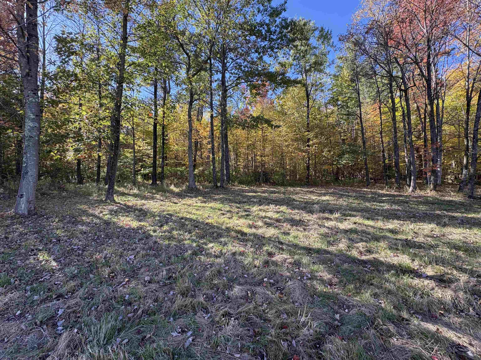 378 South 116 Road Bristol VT 05443