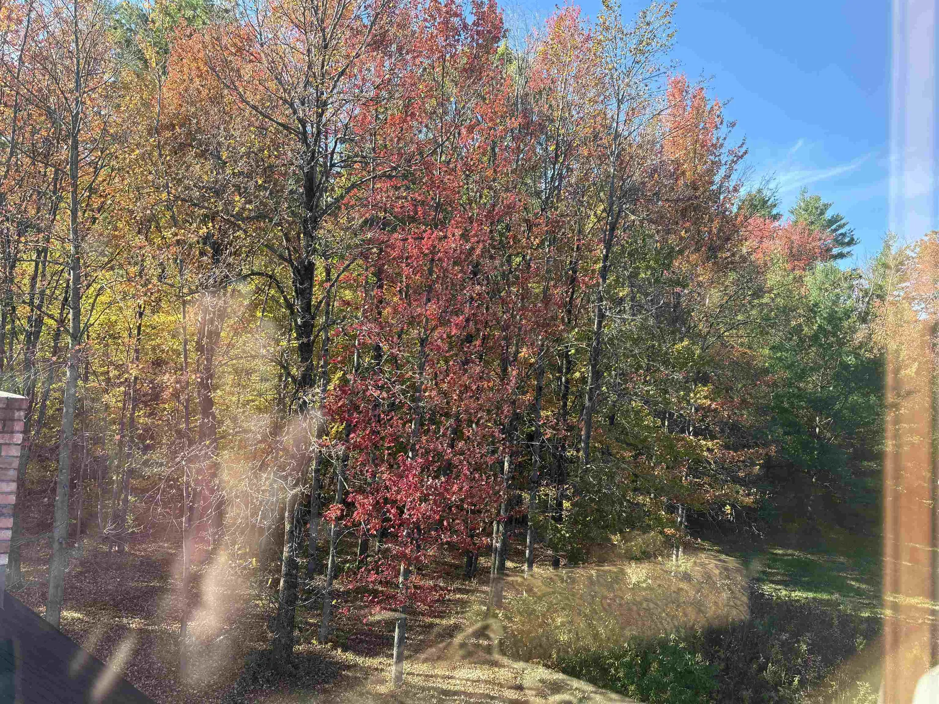 378 South 116 Road Bristol VT 05443