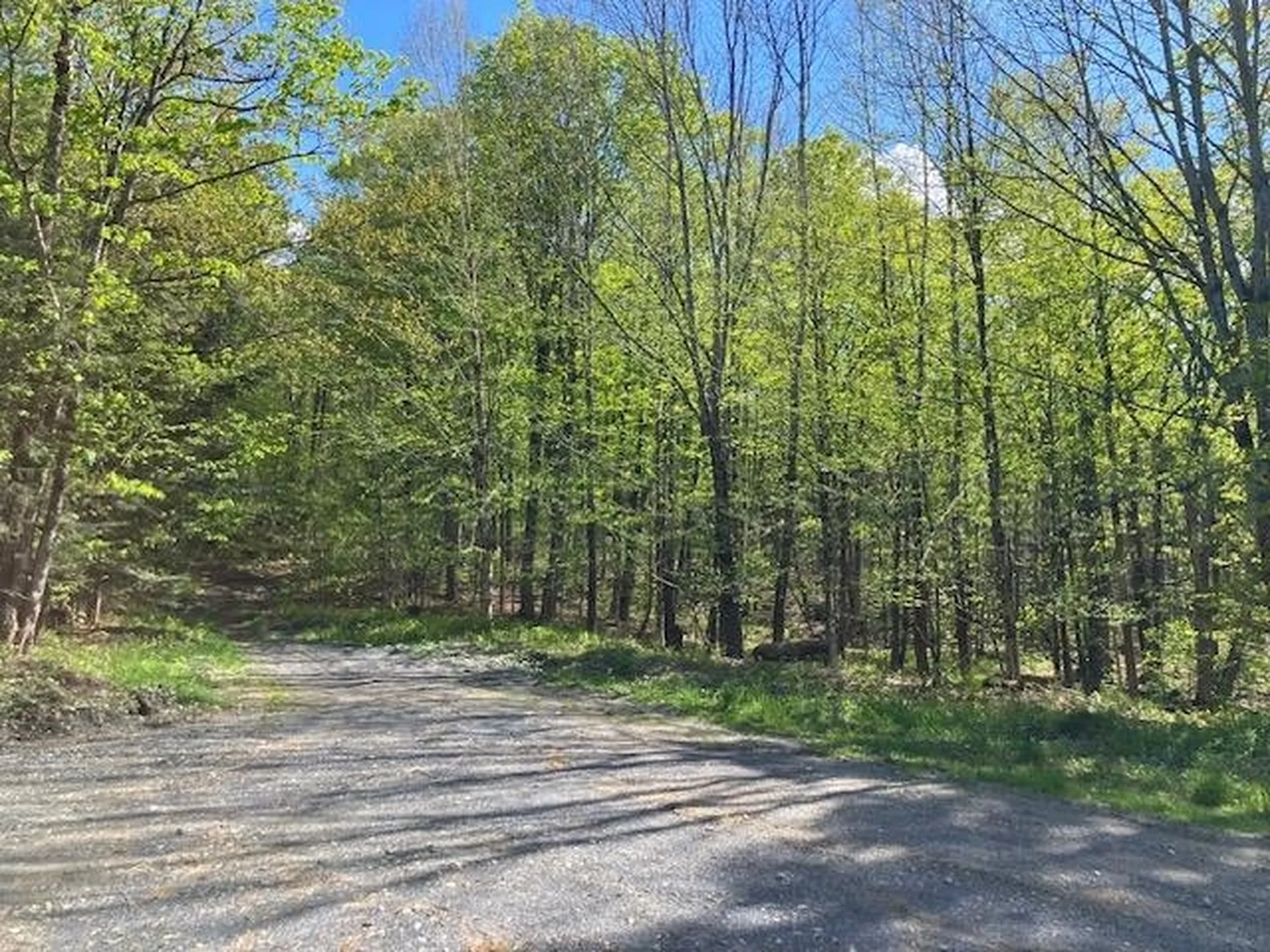 00 Bill T Drive Readsboro VT 05350