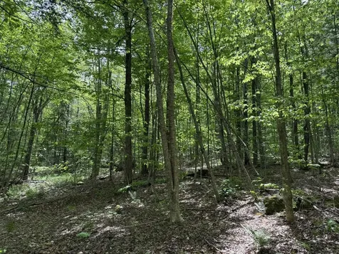 00 Bill T Drive Readsboro VT 05350