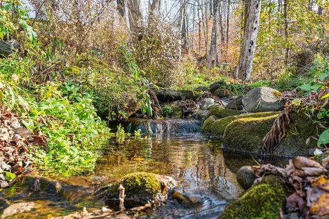 75 Pleasant Street Woodstock VT 05091