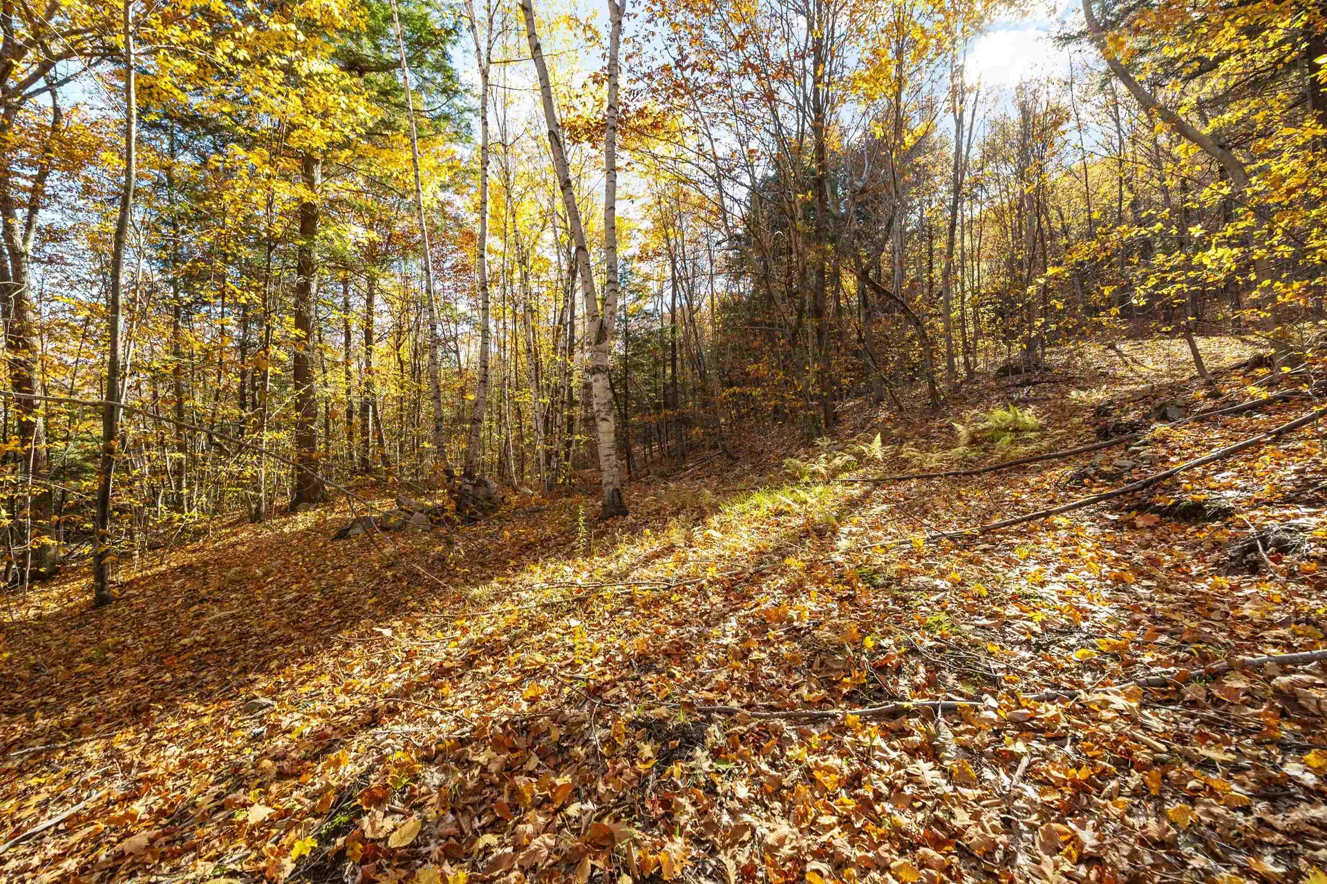 11/13/A High Point Drive Alton NH 03810