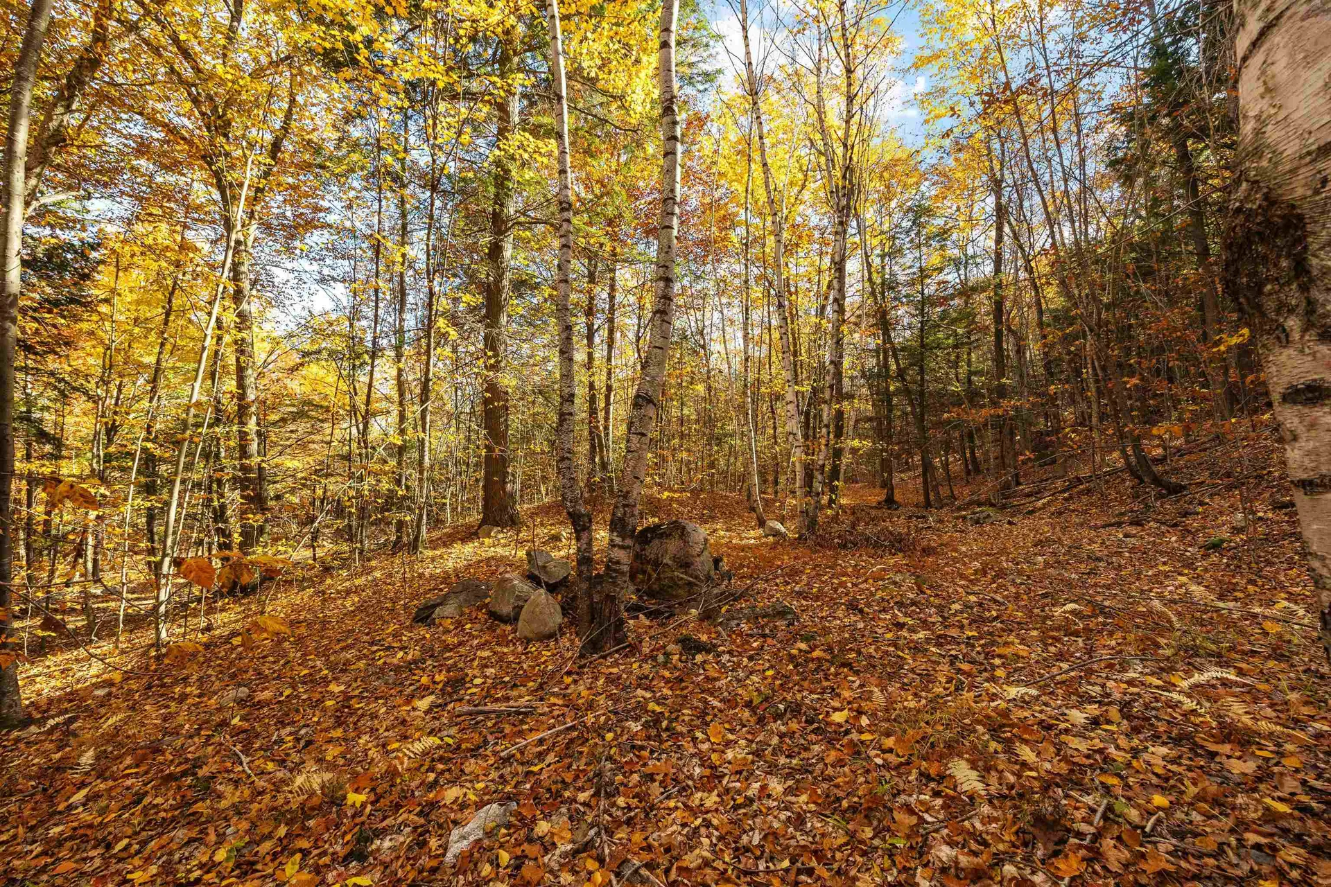 11/13/A High Point Drive Alton NH 03810