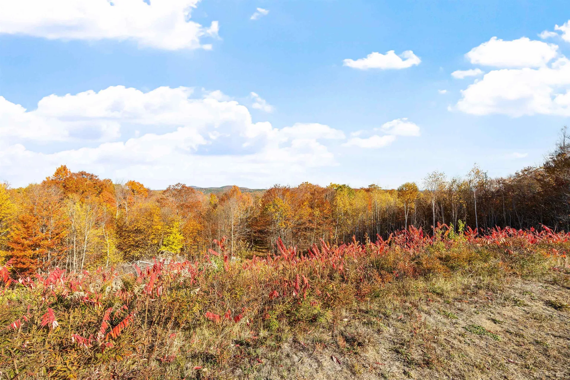 11/13/A High Point Drive Alton NH 03810