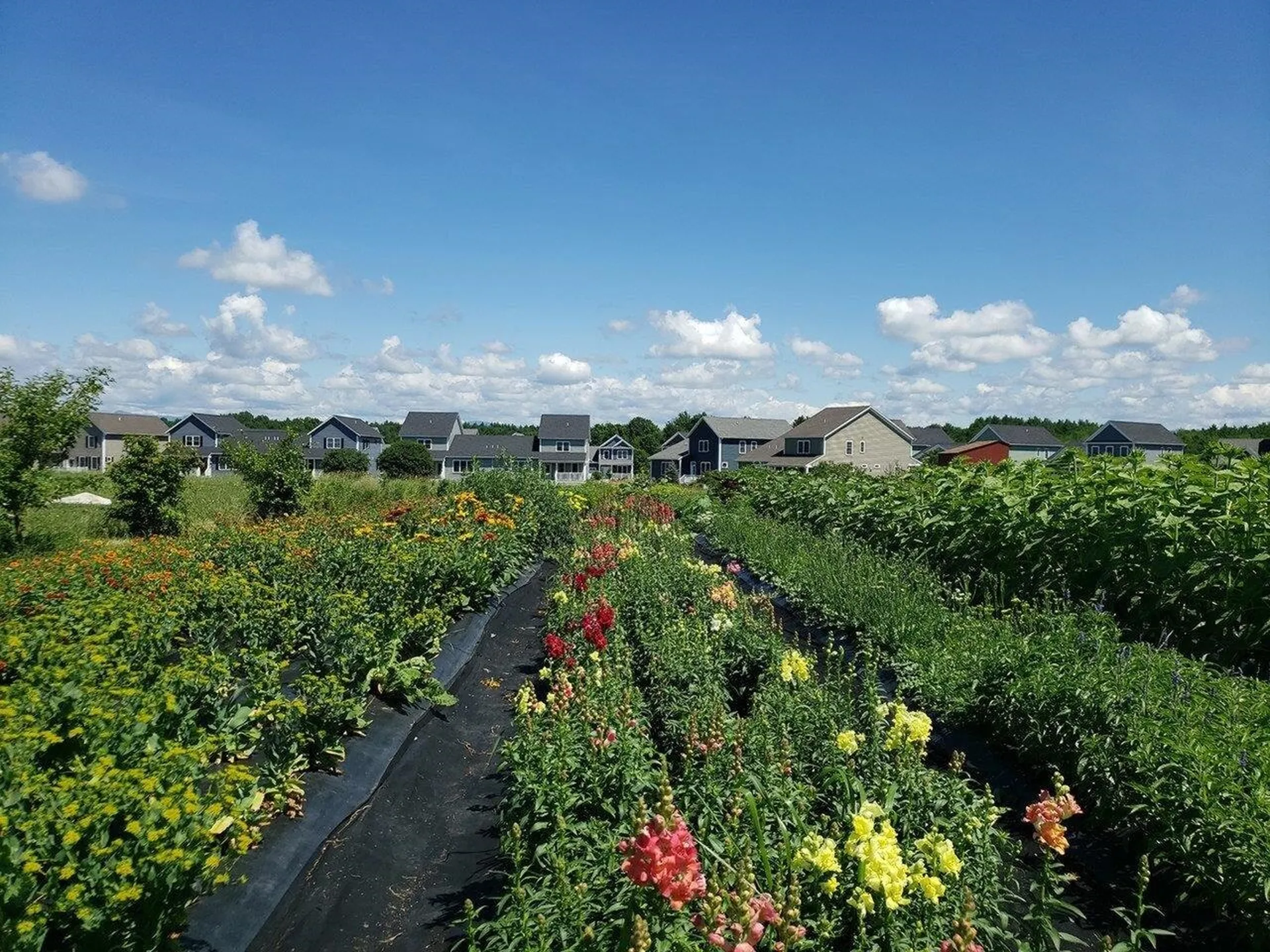 313 North Jefferson Road South Burlington VT 05403
