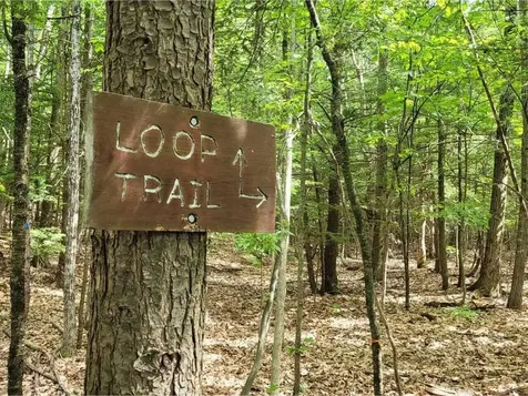 313 North Jefferson Road South Burlington VT 05403