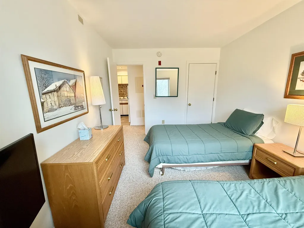 15D Mountain Village Dover VT 05356