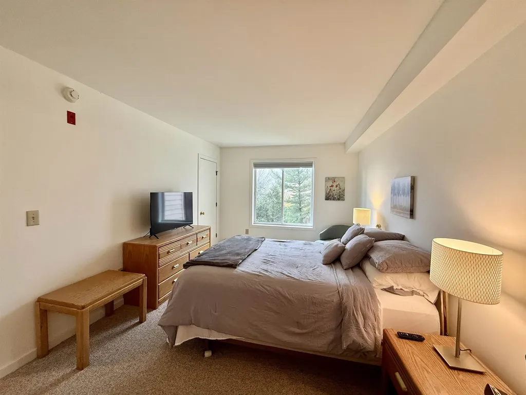 15D Mountain Village Dover VT 05356