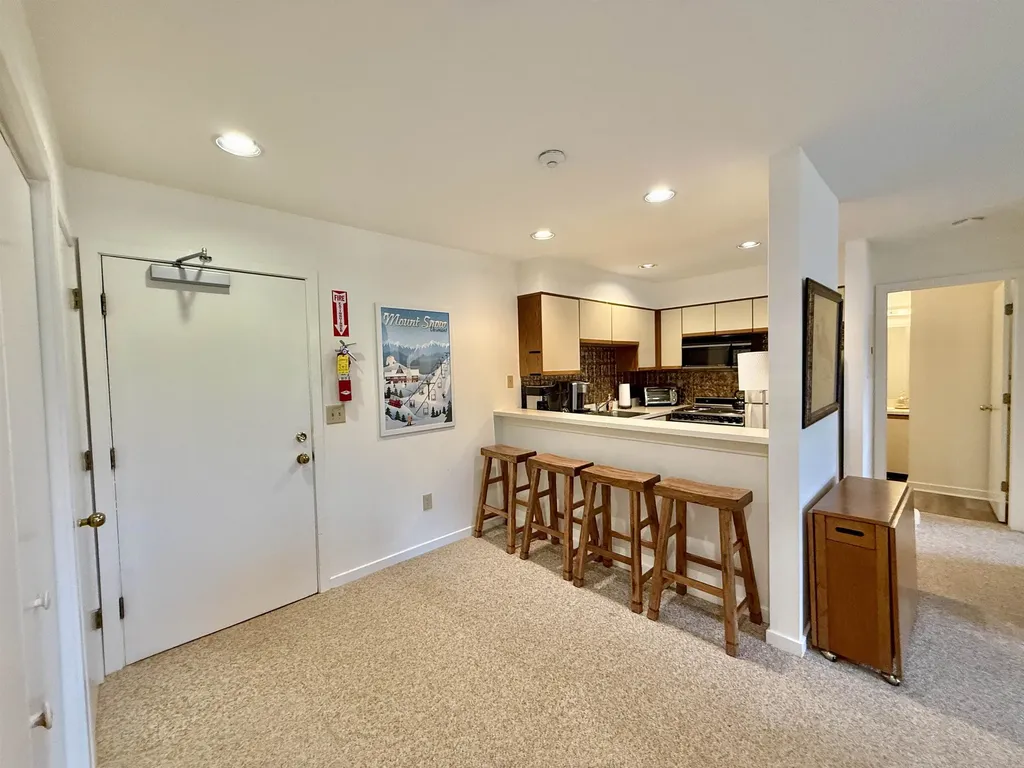 15D Mountain Village Dover VT 05356