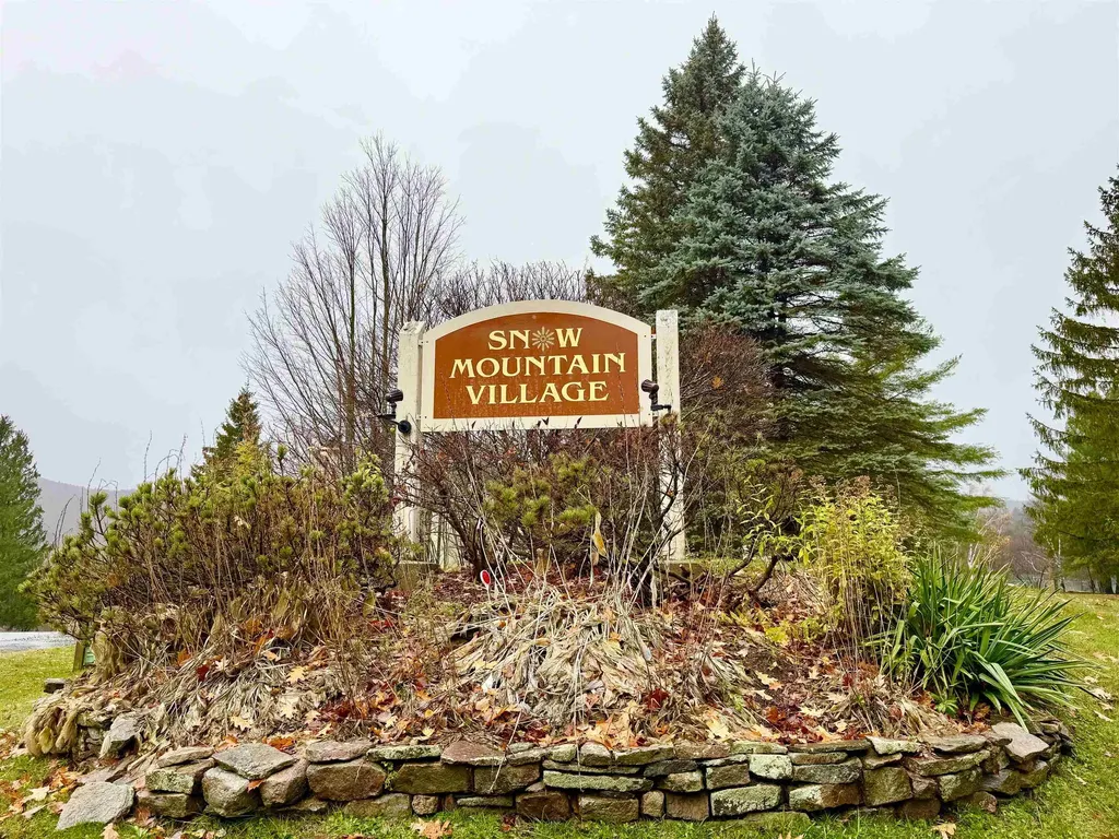15D Mountain Village Dover VT 05356
