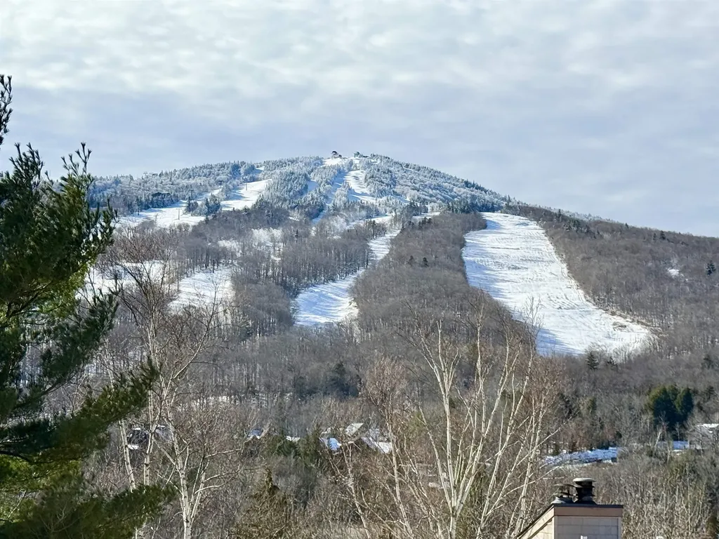 15D Mountain Village Dover VT 05356