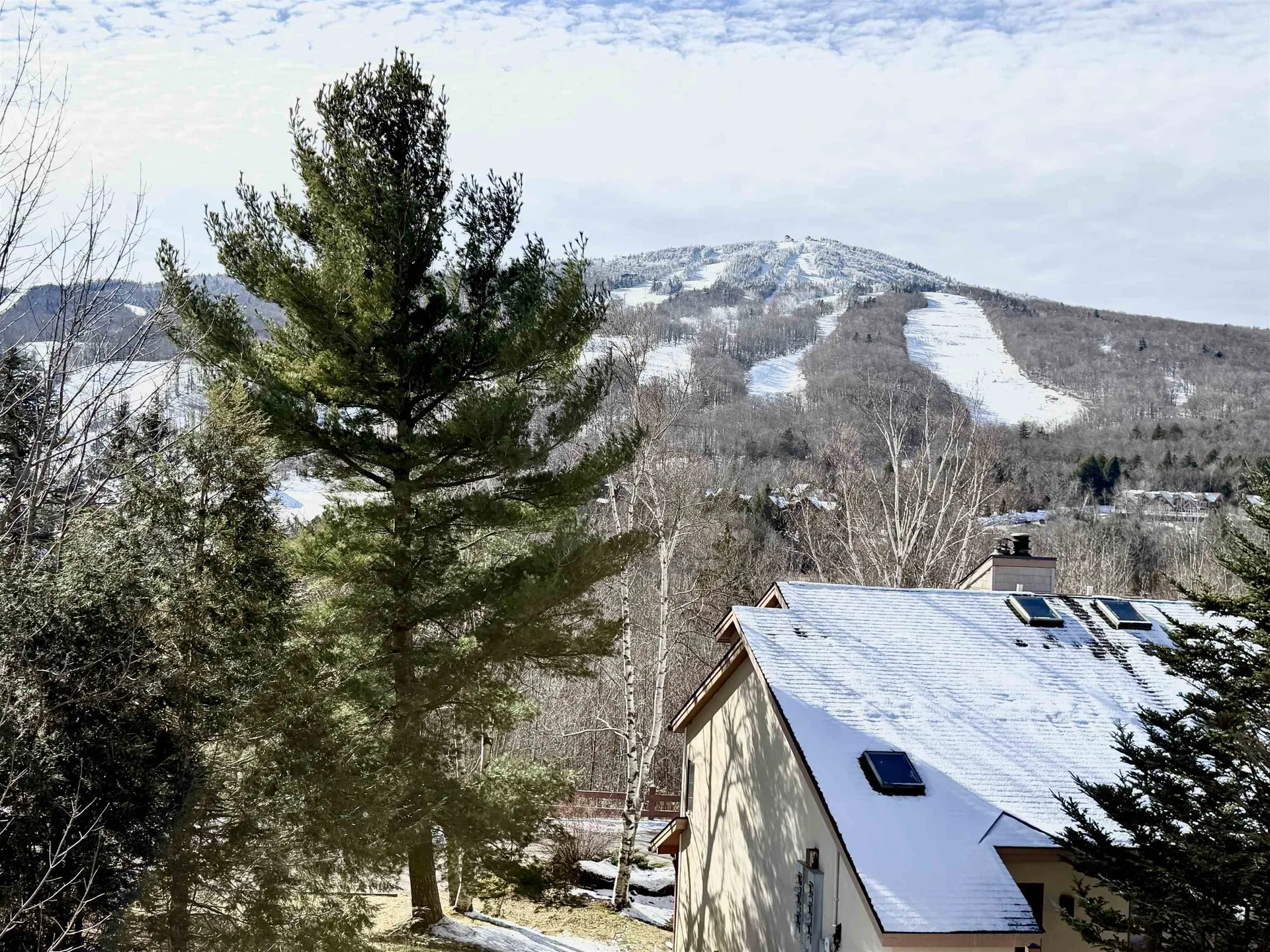 15D Mountain Village Dover VT 05356