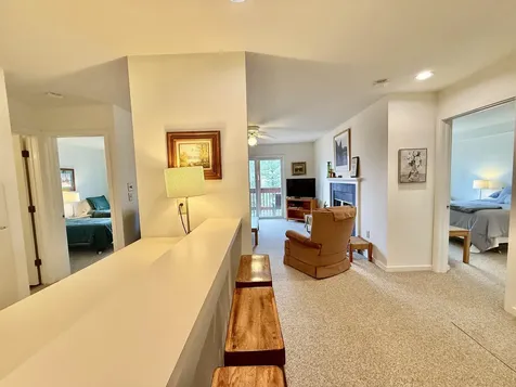 15D Mountain Village Dover VT 05356