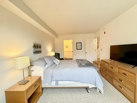 15D Mountain Village Dover VT 05356