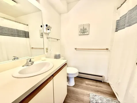 15D Mountain Village Dover VT 05356