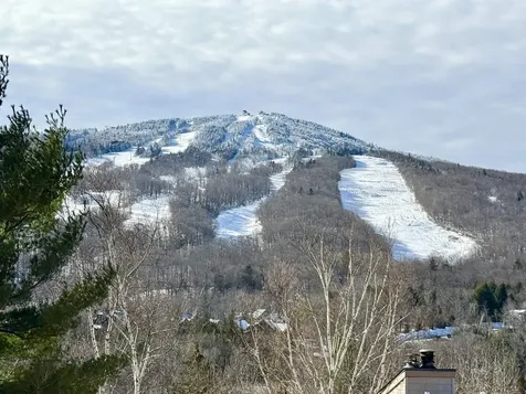 15D Mountain Village Dover VT 05356