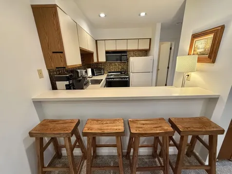 15D Mountain Village Dover VT 05356