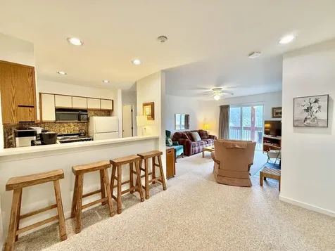 15D Mountain Village Dover VT 05356