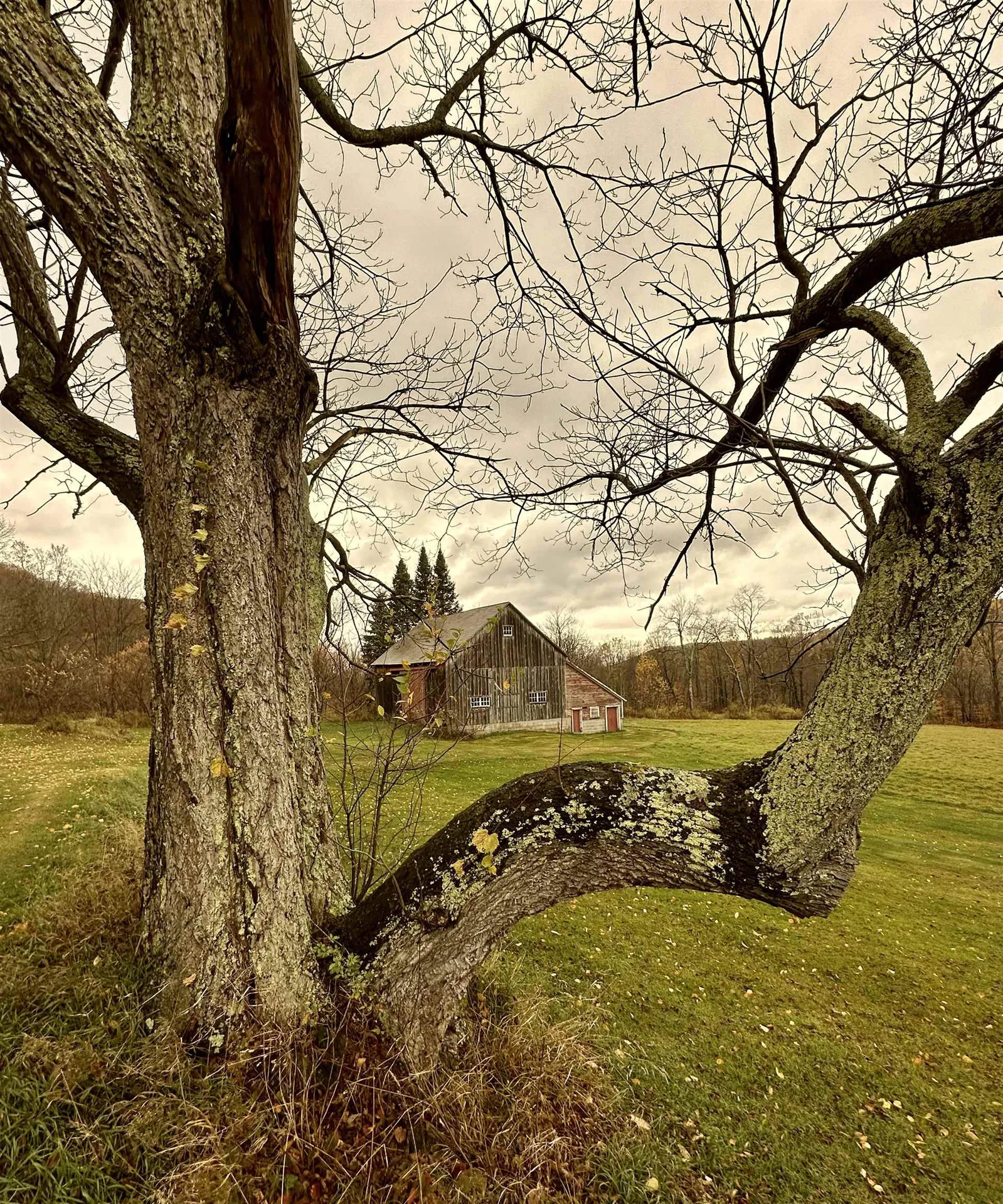 130 Clark Road Rupert VT 05776