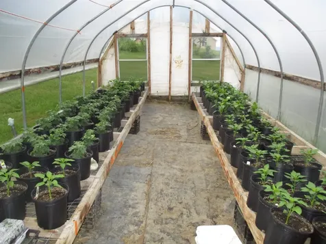 881 South Hill Road Stewartstown NH 03576