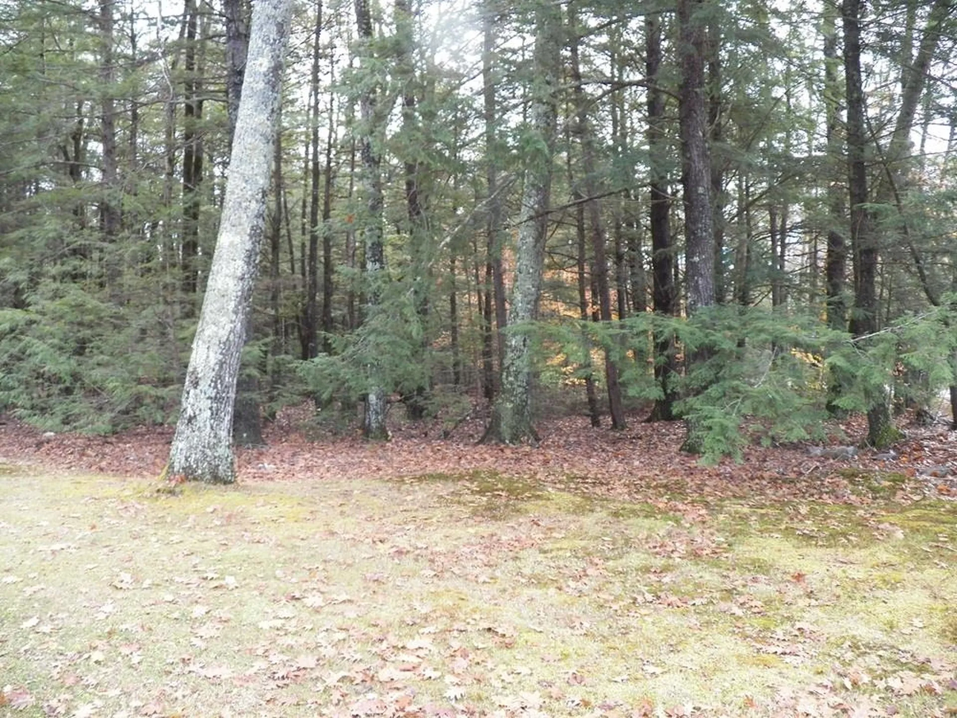 2337 2nd Nh Turnpike Deering NH 03244