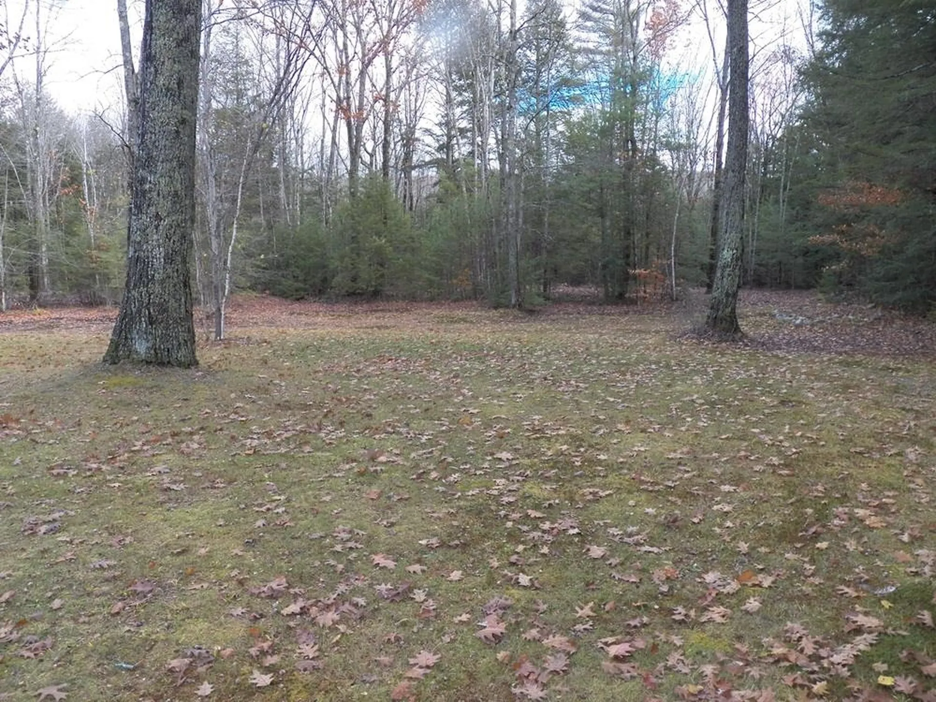 2337 2nd Nh Turnpike Deering NH 03244