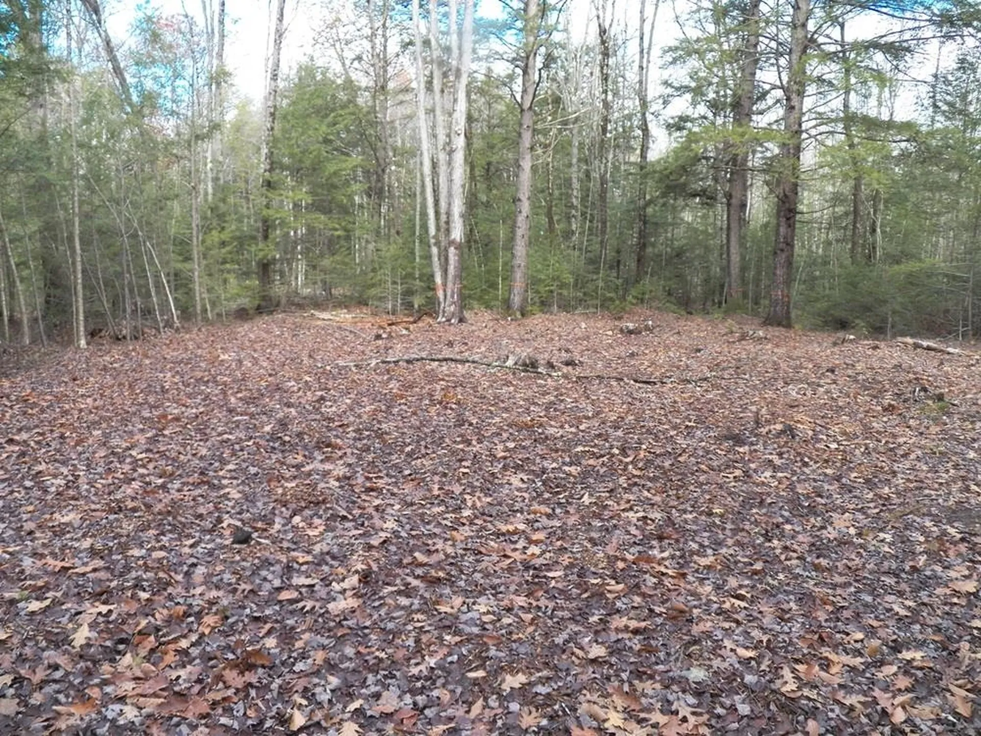 2337 2nd Nh Turnpike Deering NH 03244