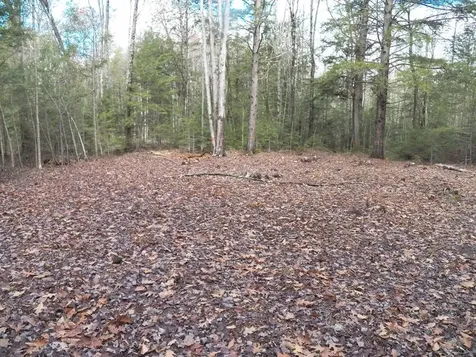 2337 2nd Nh Turnpike Deering NH 03244