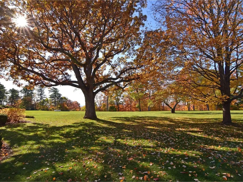 545 South Prospect Street Burlington VT 05401