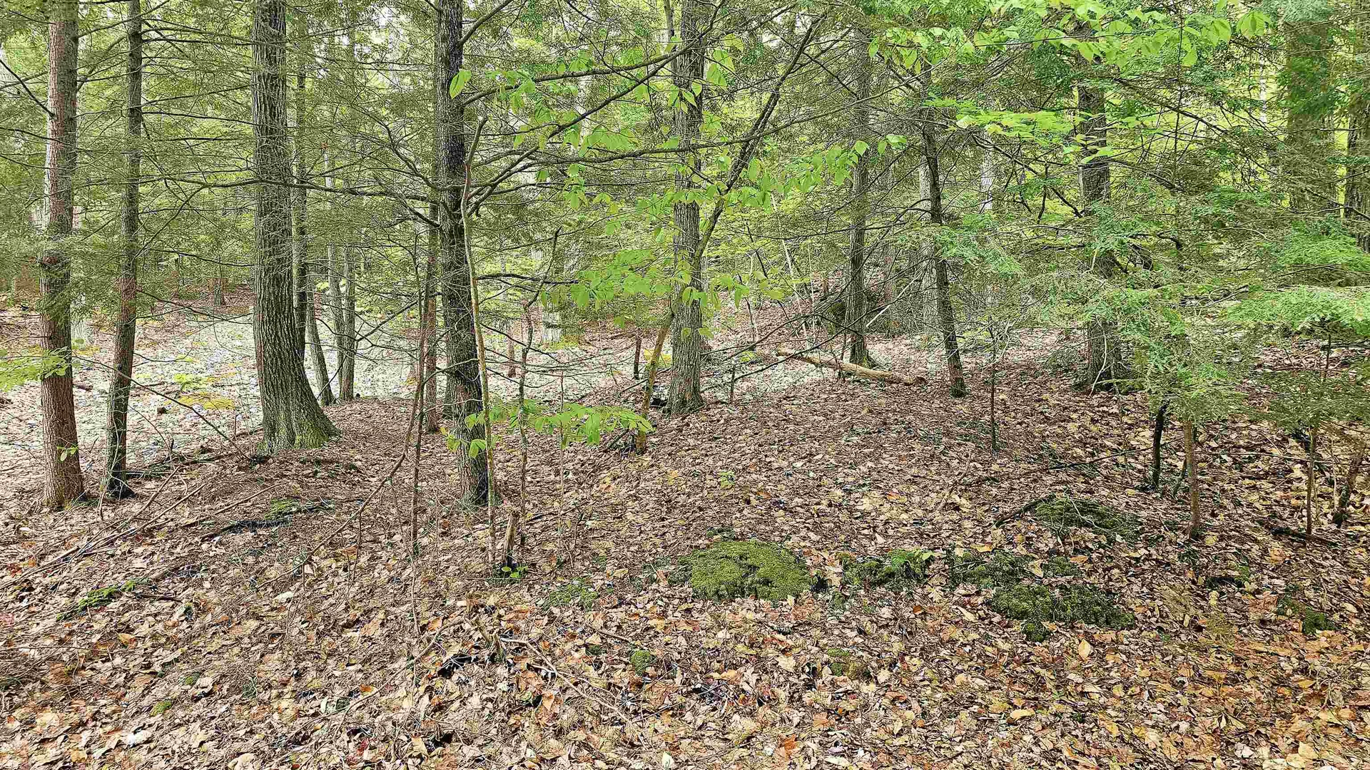 000 Pocumtuck Way Gilmanton NH 03237